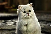 Stuart Little 2 [Blu-ray], 8