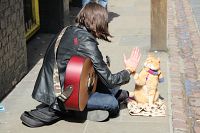 Bob und wie er die Welt sieht, 4