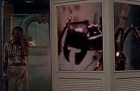 In der Gewalt der Riesenameisen [DVD], 3