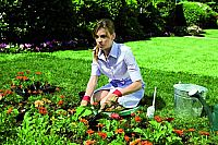 Birds of America [DVD], 2