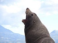 Neuseeland 3D - Das vergessene Paradies [Blu-ray], 3