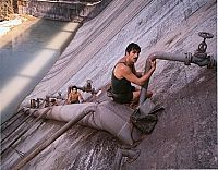 Das Wespennest [DVD], 4