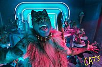 Cats [Blu-ray], 7