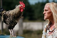 Contact High [DVD], 6