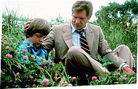 Der einzige Zeuge [Blu-ray], 5