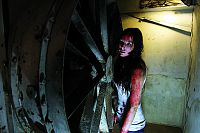 Animus - The New Maneater [DVD], 5