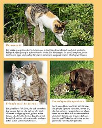 Katzensprache - Verhalten erkennen & verstehen, 2