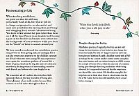 The Little Book of Mindfulness, 2