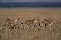 Unser Leben [DVD], 8