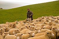 Loin de la foule déchaînée [Blu-ray], 2