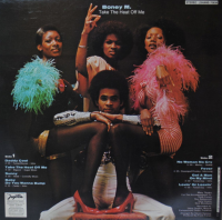 Take the Heat off Me [Vinyl], 1