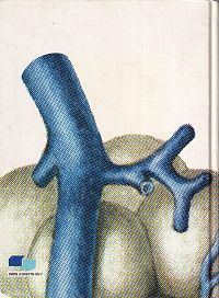 Bau und Funktionen unseres Körpers, 1