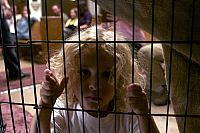 Red State [Blu-ray], 8