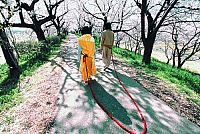 Takeshi Kitanos Dolls [DVD], 5