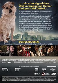 Auf der Suche nach einem Freund fürs Ende der Welt [DVD], 2