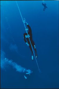 Ocean Men - Kampf in der Tiefe - IMAX [Blu-ray], 5