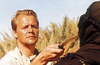 Das Geheimnis der Sahara [DVD], 2