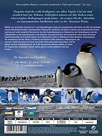 Pinguine hautnah [DVD], 3