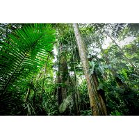 Unser grüner Planet [DVD], 3