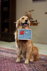 Eine tierische Bescherung [Blu-ray], 7