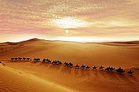 Painted Skin - Die verfluchten Krieger [Blu-ray 3D], 8