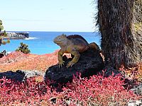 Best Of Unser faszinierender Planet [Blu-ray 3D], 4