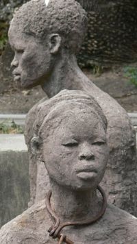 Faszination Insel - Sansibar  [DVD], 5