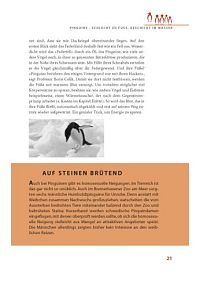 Pole, Packeis, Pinguine, 4