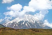 Wilder Iran  [DVD], 1