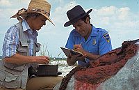 Der weisse Hai 2 [Blu-ray], 4