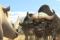 Konferenz der Tiere [DVD], 7