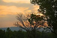 Indien - Auf den Spuren des Tigers [DVD], 2