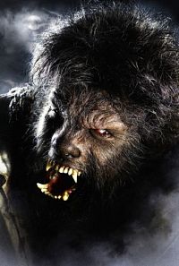 Wolfman [DVD], 2