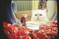 Stuart Little [DVD], 5