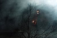 Thor - Der Hammer Gottes [DVD], 2