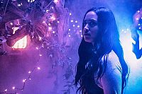 Willy's Wonderland [DVD], 5