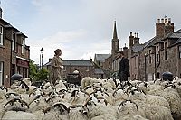 Sunset Song [DVD], 6