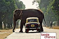 Beste Chance [Blu-ray], 2