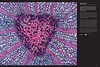 Die Welt von innen , 2