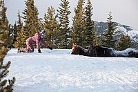 Ruf der Pferde [DVD], 9