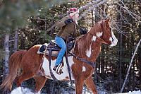 Ruf der Pferde [DVD], 4