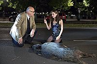 Die Stadt und die Macht [DVD], 2