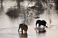 Naturparadiese Afrikas [Blu-ray], 5