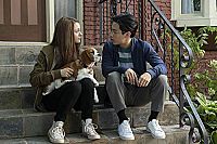 Bailey - Ein Hund kehrt zurück [Blu-ray], 7