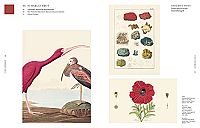 Die Farben der Natur, 8