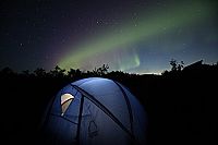 Das Universum der Fische - Lachse [Blu-ray], 3