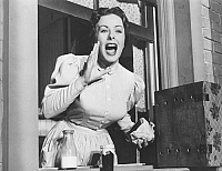 Fünf Perlen [DVD], 2