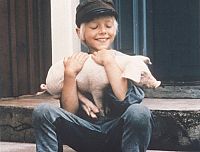 Michel aus Lönneberga [DVD], 7