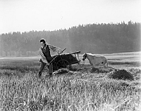 Trommeln am Mohawk [DVD], 3