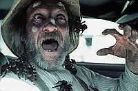 Mörderspinnen [DVD], 1